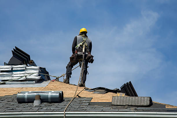 Professional Storm Damage Roof Repair technician working in Sharpsburg, GA